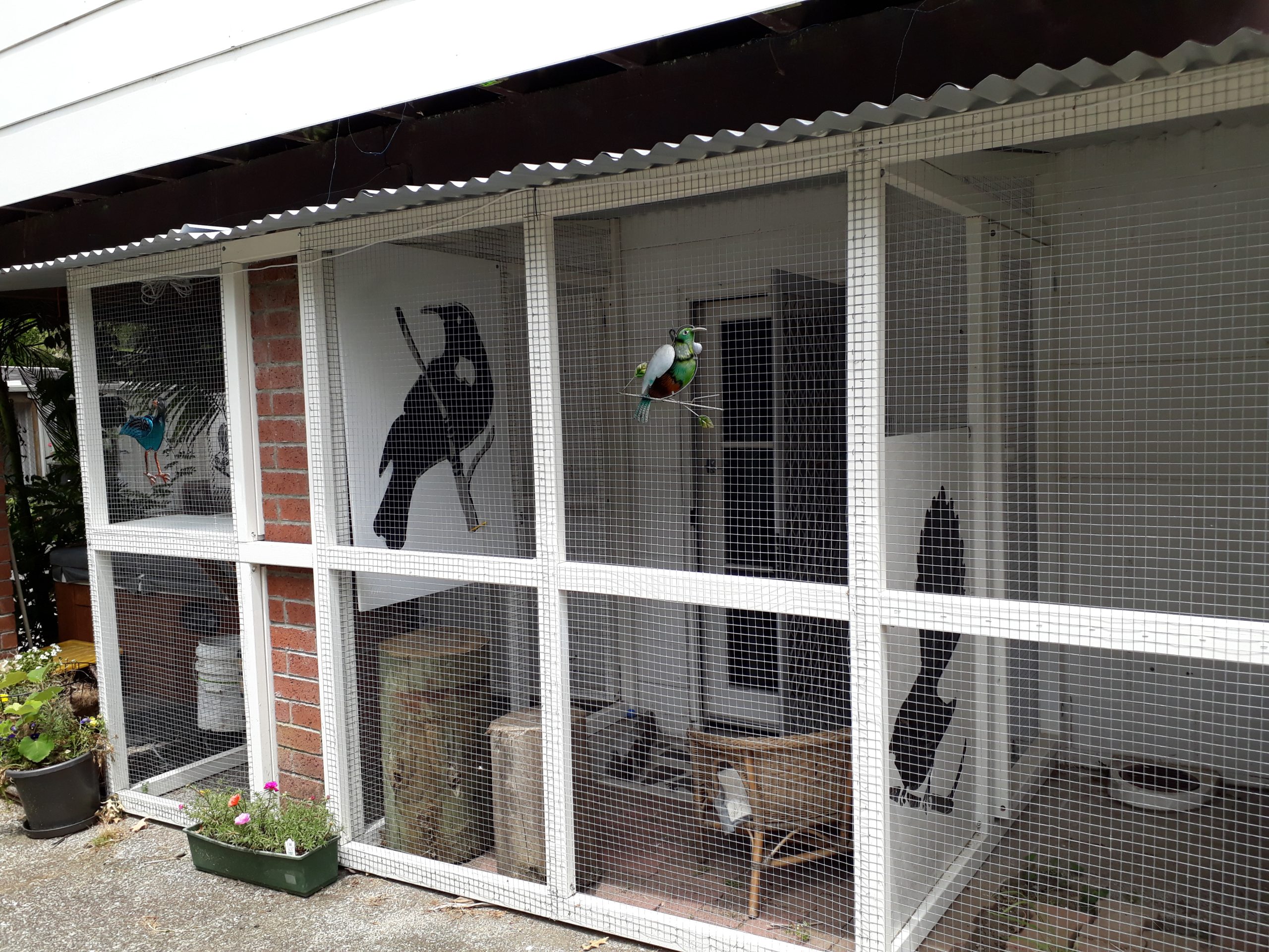 outside cattery